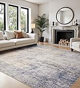Joydeco Washable 5x7 Area Rugs Modern Abstract Rug for Living Room, Machine Washable Neutral Prin...