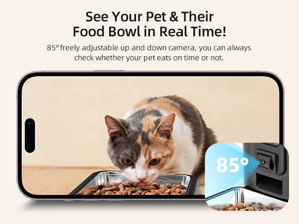 automatic cat feeder