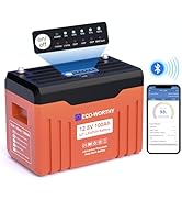 ECO-WORTHY 12V 100AH LiFePO4 Lithium Battery with SOC Display, Upgrade 2.0 with built-in Bluetoot...