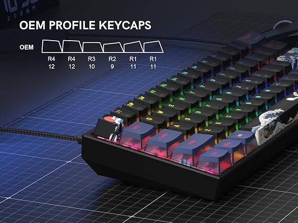 oem profile pbt pudding keycaps
