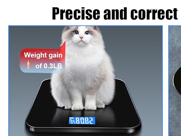 Smart Scale,
