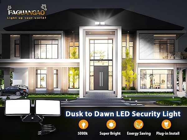 LED Security Light