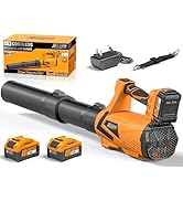 Alloyman 40V Leaf Blower Cordless, 650 CFM Brushless Battery Powered Leaf Blower with 2×2.0Ah Bat...