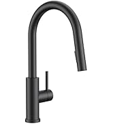 FORIOUS Kitchen Faucets with Pull Down Sprayer, Black Classic Single Handle Stainless Steel High ...