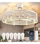 DLLT Caged Ceiling Fan with Lights: 26" Large Bladeless Fandelier with Light and Remote - Cement ...