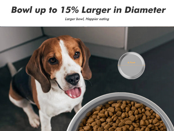automatic dog feeder