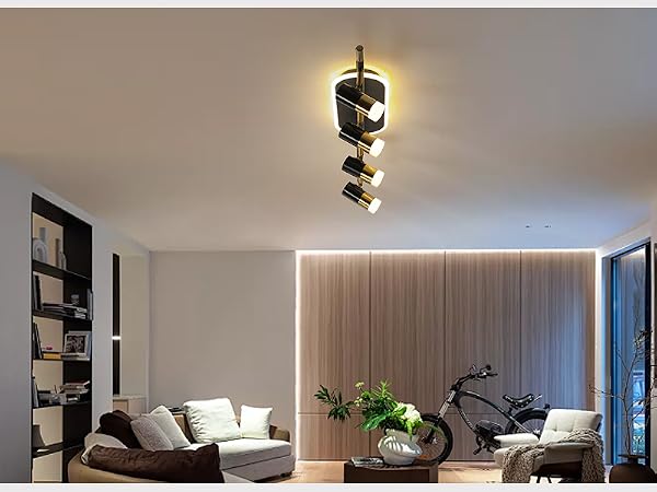 ceiling track