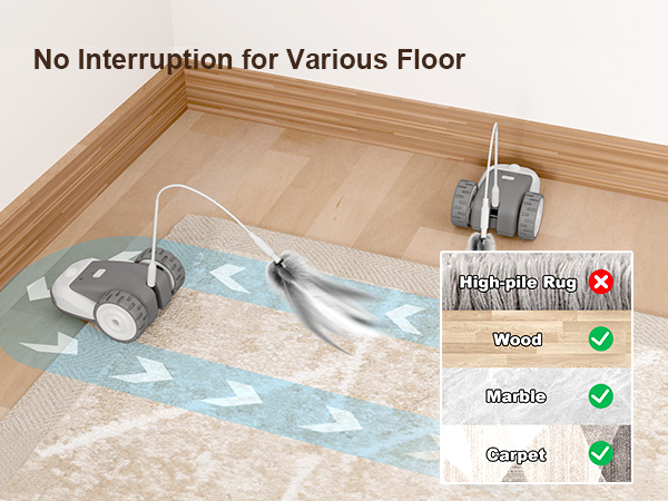 Interactive Cat Toy
