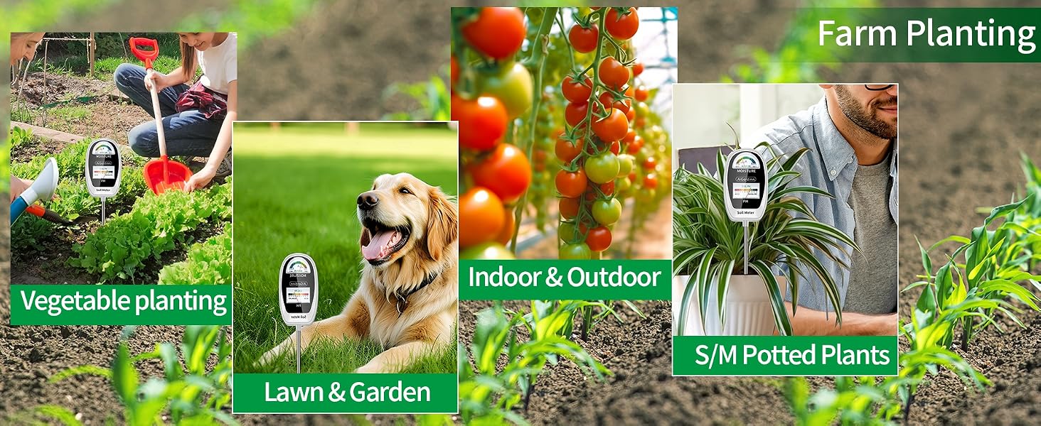 Soil Moisture Meter