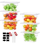 SVKLHY 1/9 Size 4 Inch Clear NSF Polycarbonate Food Pan-9 PCS[Food Grade][Hot&amp;Cold Resistant] Com...