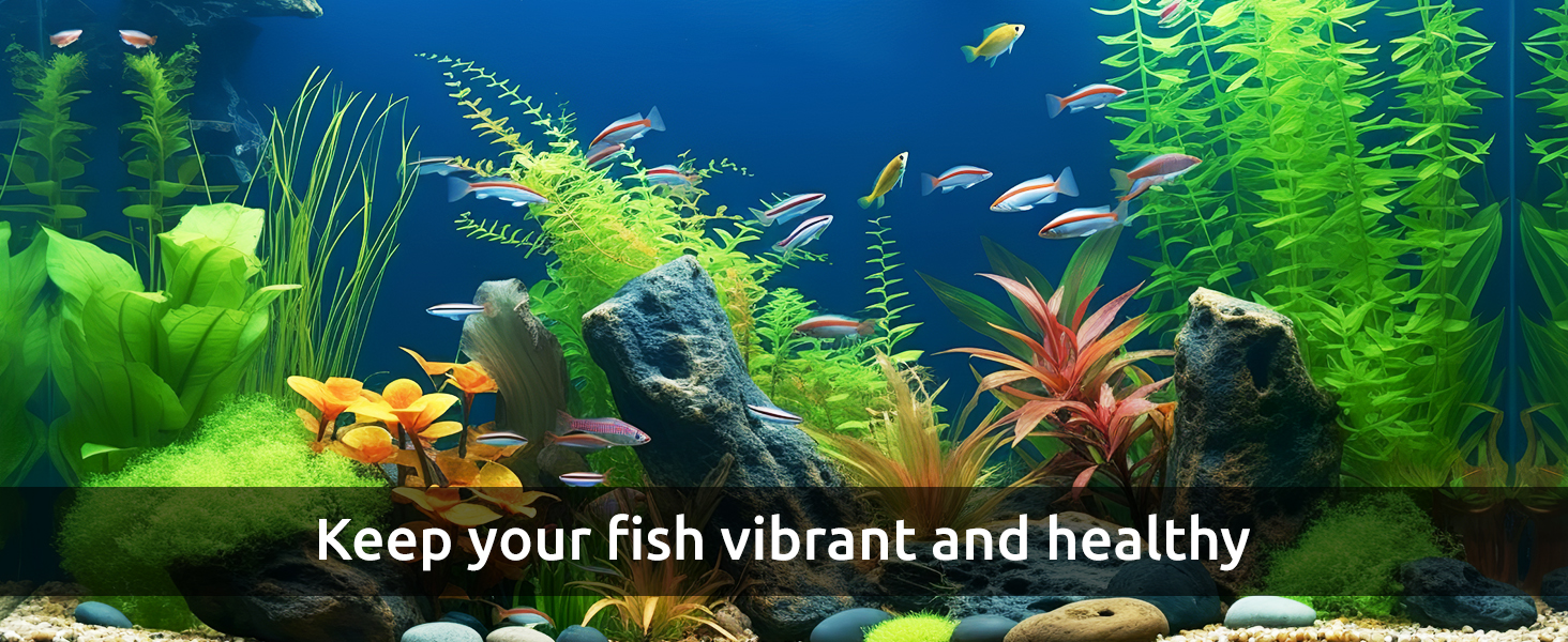 aquarium cleaning tools