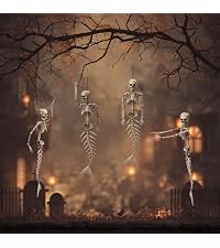 Yescom 5.6 Ft Halloween Pirate Captain Skeleton Life Size Human Bone