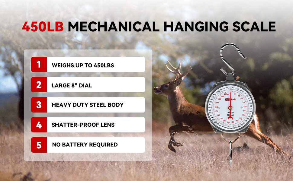 Heavy Duty Hanging Scale