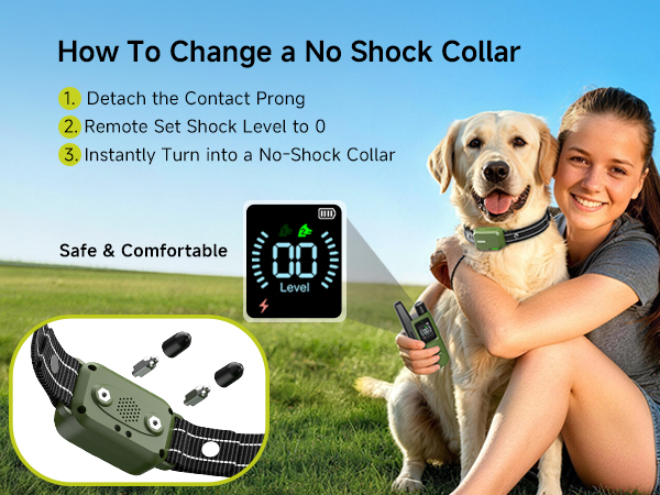 shock collar
