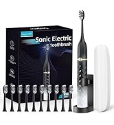 Electric Toothbrush Set, Equipped with 10 Brush Heads and Travel case, IPX8 Waterproof, 2-Minute ...