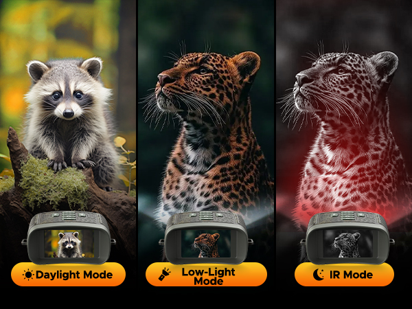 night vision goggles