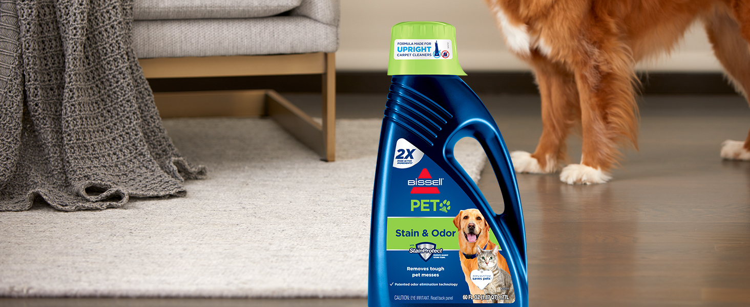 spot and stain formula, carpet shampoo, carpet cleaner, carpet cleaner formula, stain remover