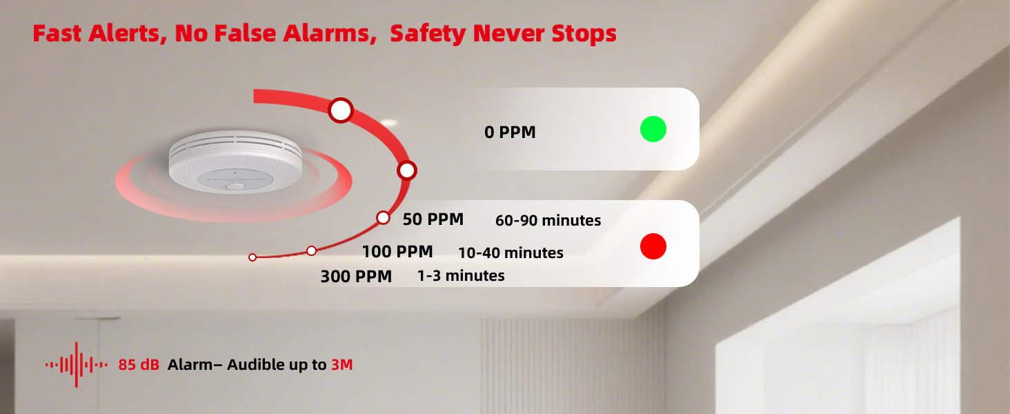 Monitors real - time CO, gives fast, accurate alarms with 85 dB sound.