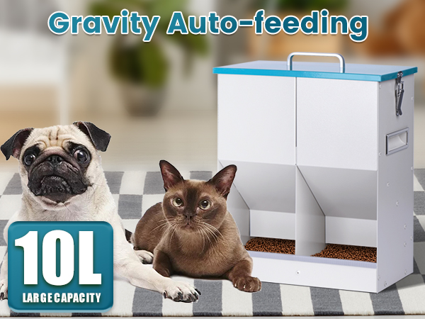 automatic cat feeder for 2 cat