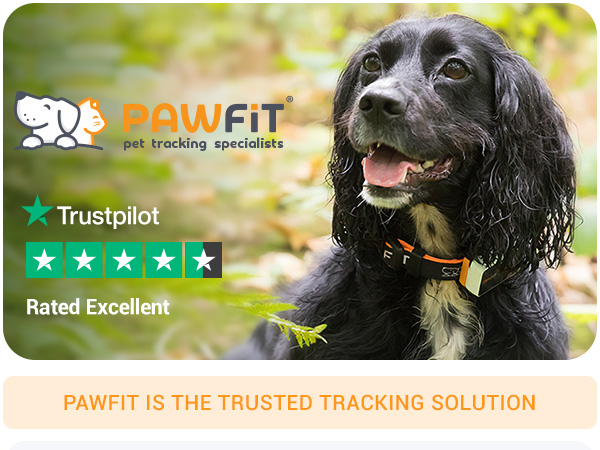 gps dog tracker, Pawfit