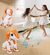 RC Smart Walking Electronic Pet Dog Toy with Light Eyes, Dancing and Music