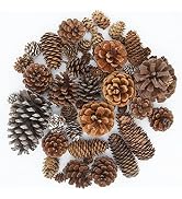 Puideon 50 PCS Natural Pine Cones Mixed Sizes for Acorn Decor,Vase Filler,Birthday Gifts,Rustic H...