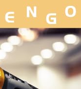 Marengo Handheld Dynamic Microphone for Karaoke Singing, Wired XLR Microphone with On and Off Swi...