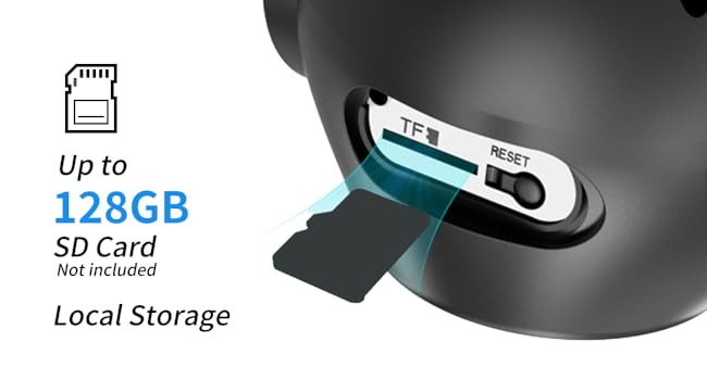 Local SD Card Storage