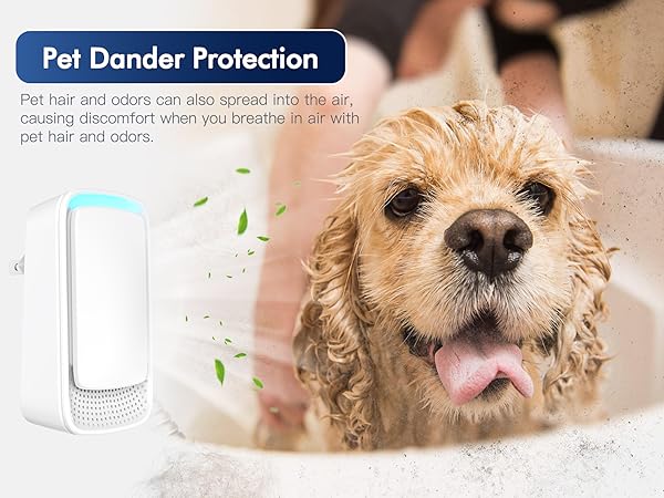 Pet Dander Protection