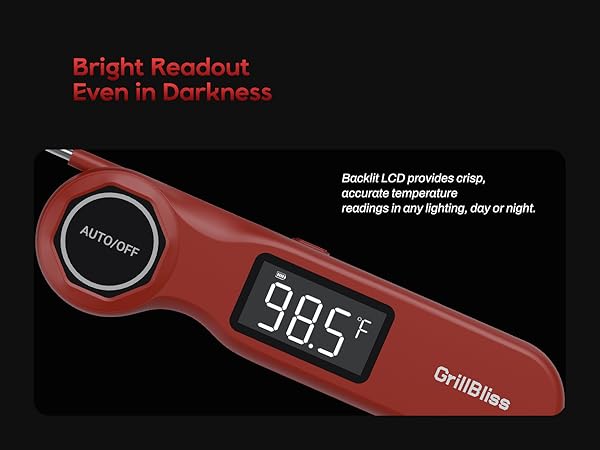 food thermometer