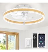 LEDIARY Ceiling Fans with Lights and Remote, 20'' Low Profile Ceiling Fan with Light, 3000-6000K ...