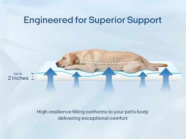 Engineered for Superior Support