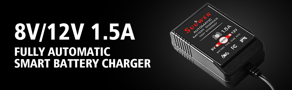 8v battery charger