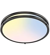 libtit 16Inch Black Flush Mount Ceiling Lights, 36W Dimmable LED Ceiling Light 3000K-6500K Adjust...