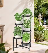 5 Tier Metal Plant Stand for Indoor Outdoor