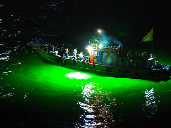 green led lights