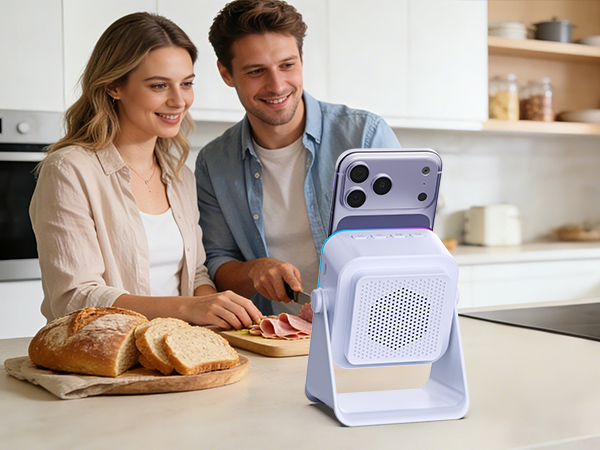 wireless induction speaker