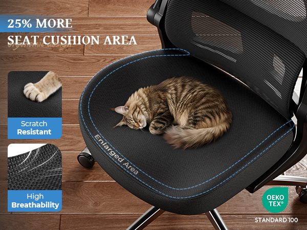 Ergonomic Desk Chair