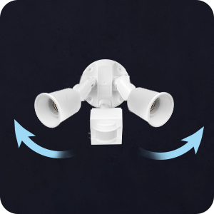 17000269 - Adjustable Heads