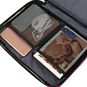 Padded Laptop Sleeve