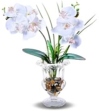 https://m.media-amazon.com/images/S/aplus-media-library-service-media/3360463b-1e01-4bc1-bb7c-3b8d0295f495.__AC_SR200,225___.jpg