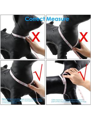 measure