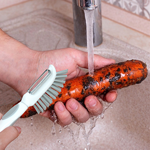 vegetable/fruit/potato cleaning brush with peeler