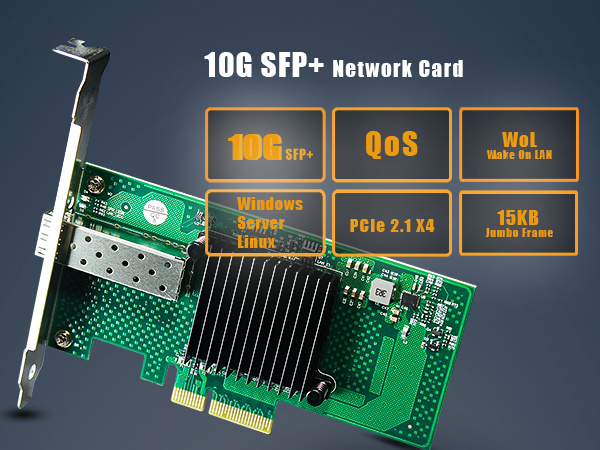 10Gb SFP+ NIC