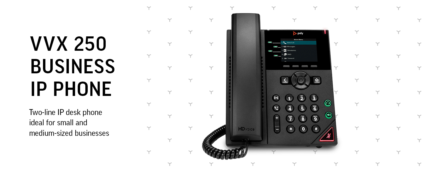 poly vvx 250