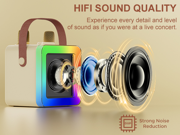 Bluetooth Karaoke Speaker with good sound quality