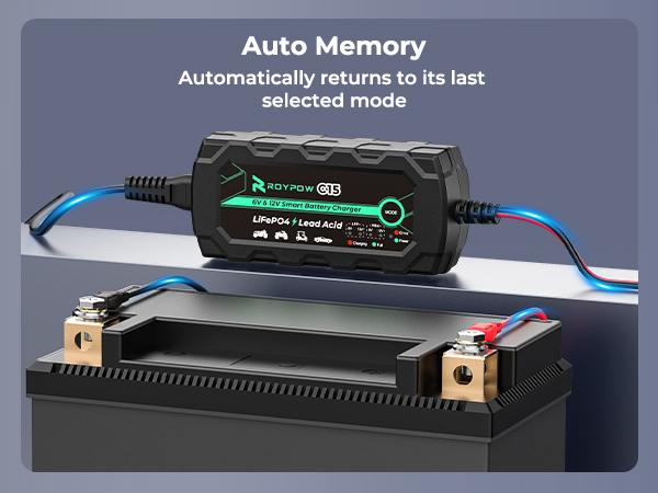 12V LiFePO4 Battery Charger