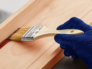 Chip Brush