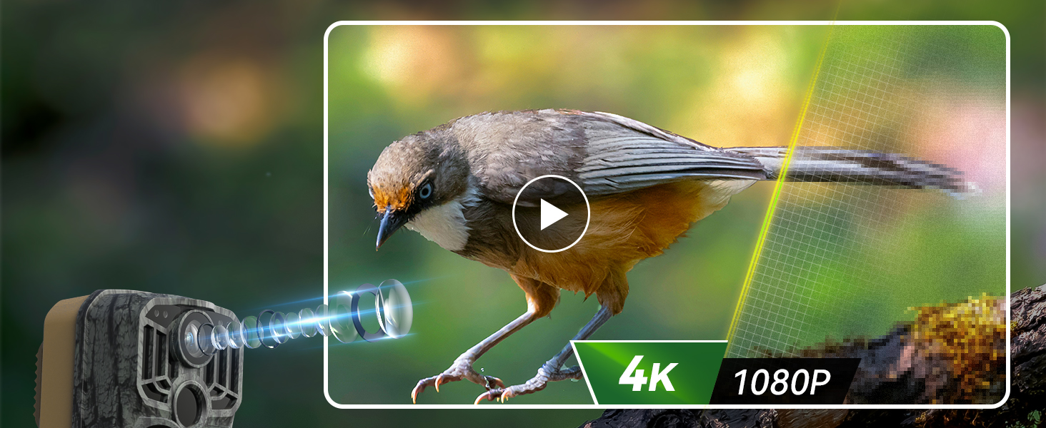 The Deatti wildlife camera wifi shows you vivid details