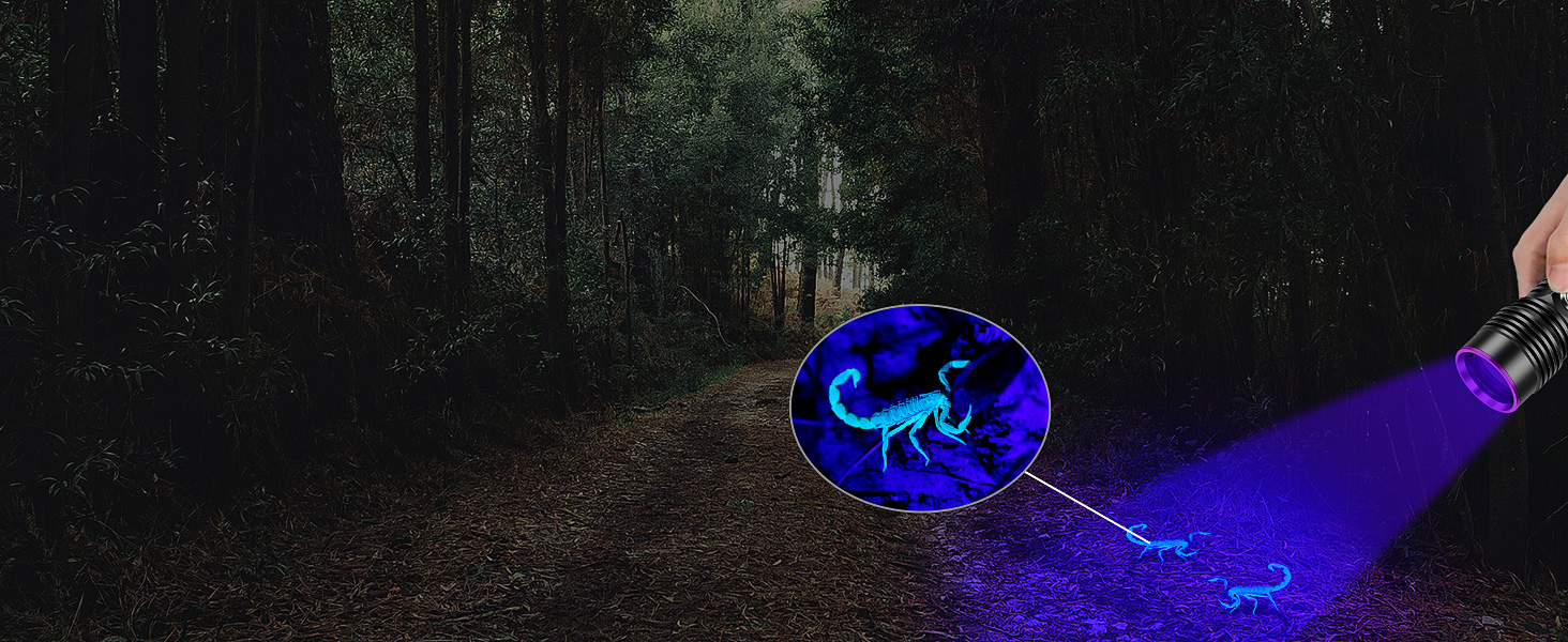 uv light for scorpion